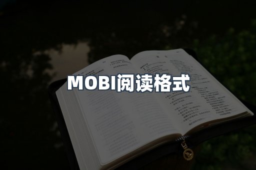外文电子书系列